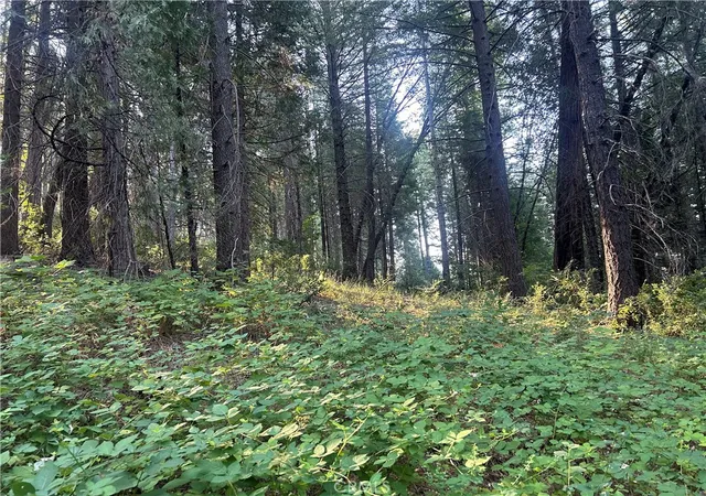 Photo 2 of Land for sale at 6418 Hupp Coutolenc Rd, Magalia, CA 95954 | MLS# PA24150895 | Listing updated on 2026-07-02