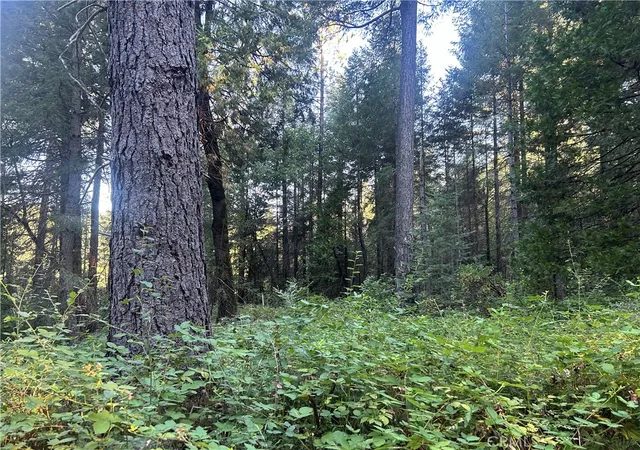 Photo 3 of Land for sale at 6418 Hupp Coutolenc Rd, Magalia, CA 95954 | MLS# PA24150895 | Listing updated on 2026-07-02