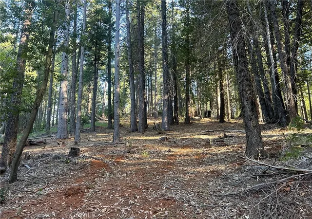 Photo 3 of Land for sale at 6418 Hupp Coutolenc Rd, Magalia, CA 95954 | MLS# PA24150895 | Listing updated on 2026-07-02