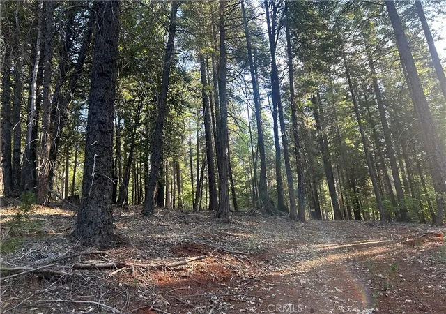 Photo 4 of Land for sale at 6418 Hupp Coutolenc Rd, Magalia, CA 95954 | MLS# PA24150895 | Listing updated on 2026-07-02