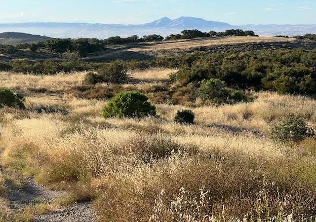 4th image of 0 Pine Canyon Rd, King City, CA 93930 | MLS# ML81974476