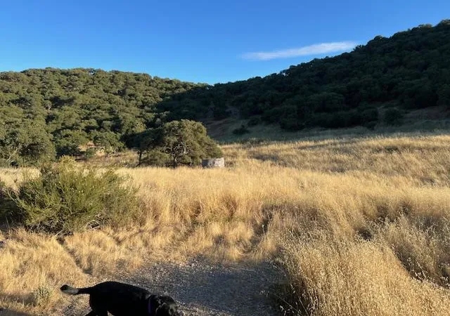 5th image of 0 Pine Canyon Rd, King City, CA 93930 | MLS# ML81974476