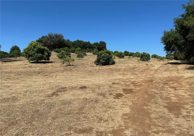 2nd image of 15 Camino Estribo, Temecula, CA 92590 | MLS# SW24159388