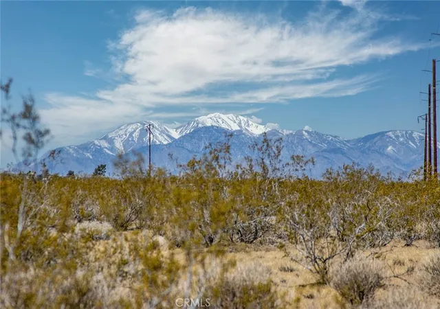 16th image of 62576 Cottonwood Dr, Joshua Tree, CA 92252 | MLS# JT24094363