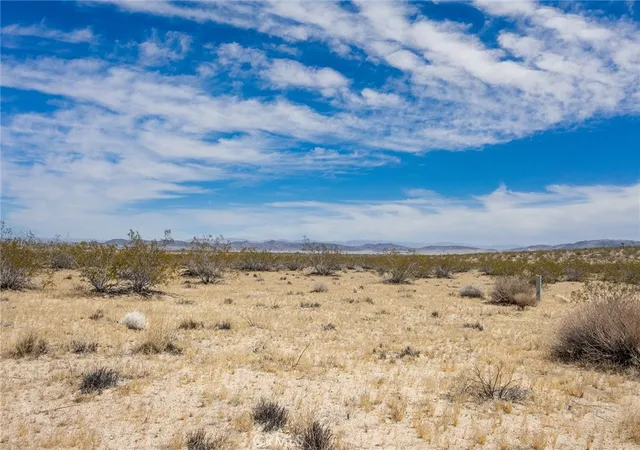 4th image of 62576 Cottonwood Dr, Joshua Tree, CA 92252 | MLS# JT24094363