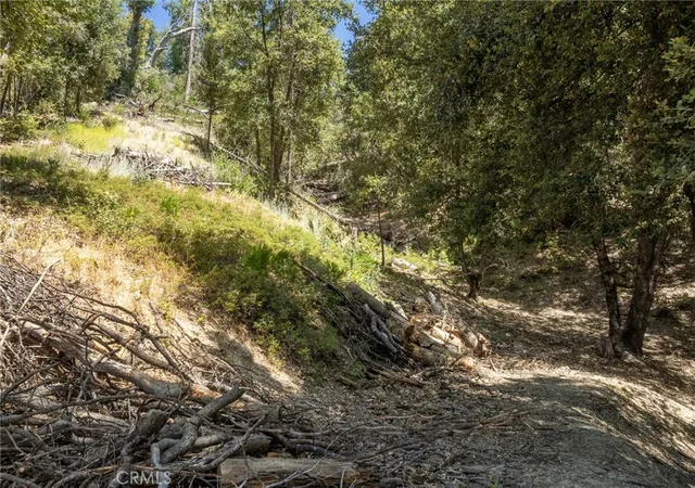 52nd image of 8 N Cedar Vista Cir N, Bass Lake, CA 93604 | MLS# MD24165557