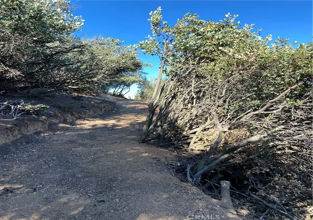 3rd image of 37342 Pisgah Peak Rd, Yucaipa, CA 92399 | MLS# IV24182348