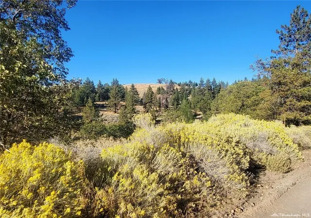 Photo 1 of Land for sale at 16851 Interlaken St, Tehachapi, CA 93561 | MLS# PI24117644 | Listing updated on 2026-09-25