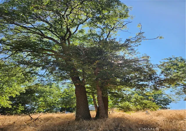 Photo 3 of Land for sale at 1563 Rock Ridge Dr, Lake Arrowhead, CA 92352 | MLS# IG24182925 | Listing updated on 2026-06-02