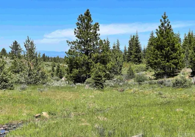 3rd image of 0 Glacier Dr Lot 13 Dr, Alturas, CA 96101 | MLS# PTP2405603