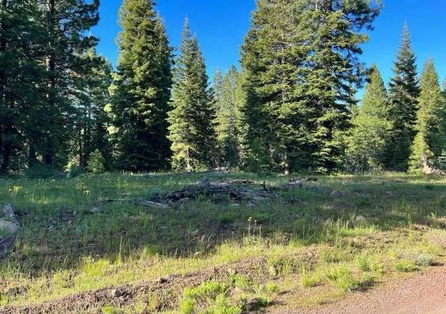 5th image of 0 Glacier Dr Lot 13 Dr, Alturas, CA 96101 | MLS# PTP2405603