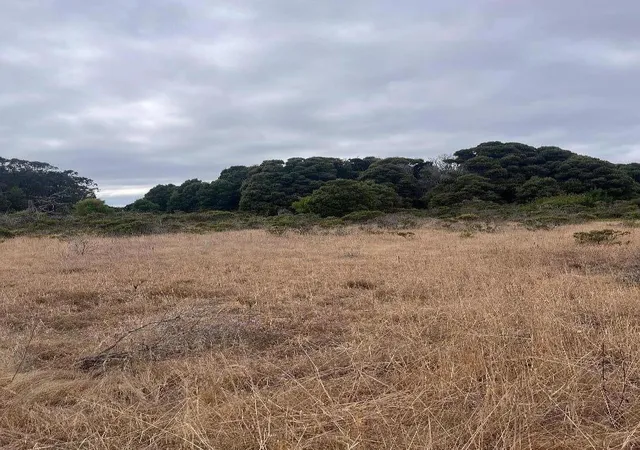 Homes for sale in Half Moon Bay, CA | 110 Dolores Ave, Half Moon Bay, CA 94019 | MLS# ML81980533