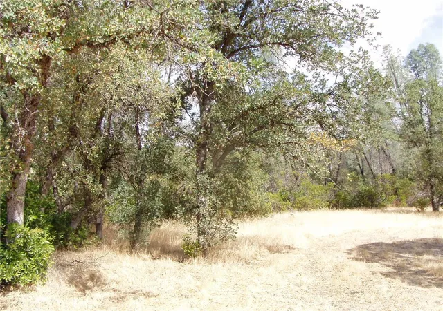 3rd image of 15838 El Dorado Dr, Corning, CA 96021 | MLS# SN24193386
