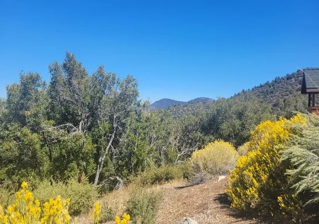 Homes for sale in Pine Mountain Club, CA | 1806 Zermatt, Pine Mountain Club, CA 93222 | MLS# SR24200950