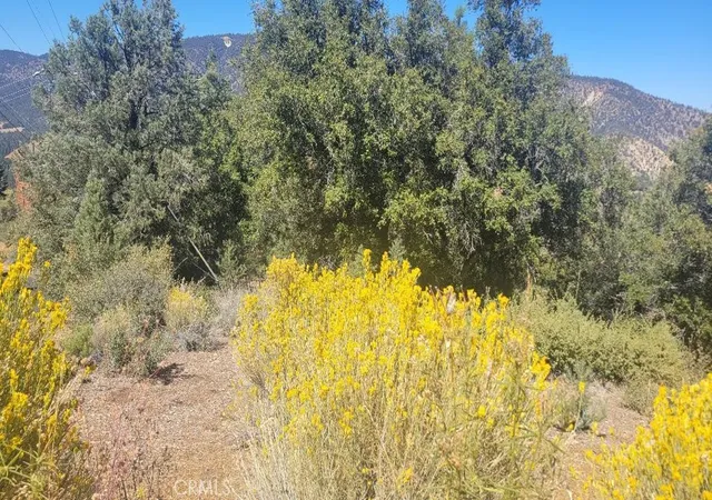 Homes for sale in Pine Mountain Club, CA | 1806 Zermatt, Pine Mountain Club, CA 93222 | MLS# SR24200950