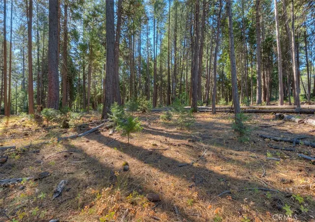 1st image of 0 Fern Glenn Way, Magalia, CA 95954 | MLS# SN24200606