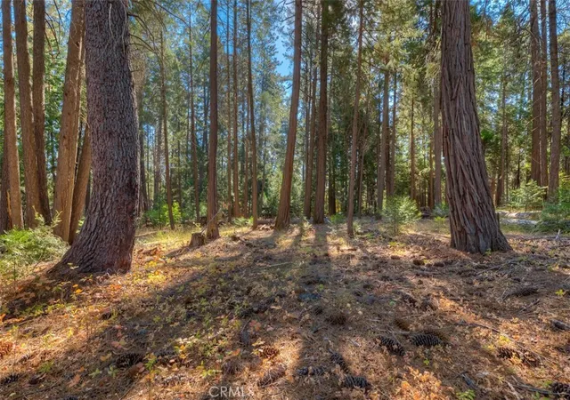 3rd image of 0 Fern Glenn Way, Magalia, CA 95954 | MLS# SN24200606