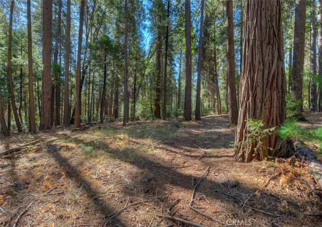 4th image of 0 Fern Glenn Way, Magalia, CA 95954 | MLS# SN24200606