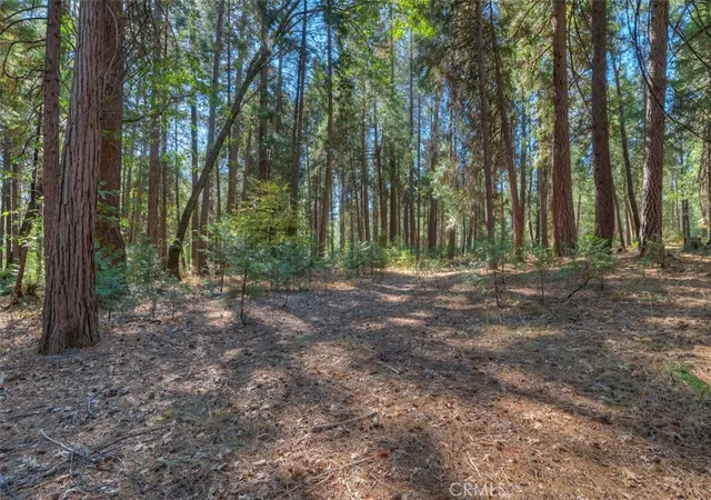 5th image of 0 Fern Glenn Way, Magalia, CA 95954 | MLS# SN24200606