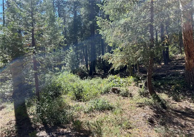 1st image of 0 Coutelenc, Magalia, CA 95954 | MLS# PA24201943