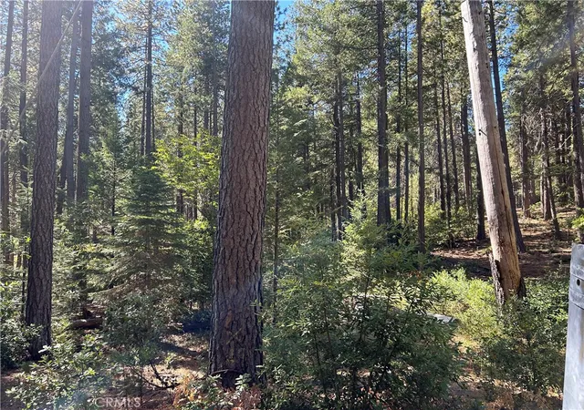 Photo 3 of Land for sale at 0 Coutelenc, Magalia, CA 95954 | MLS# PA24201943 | Listing updated on 2026-09-17