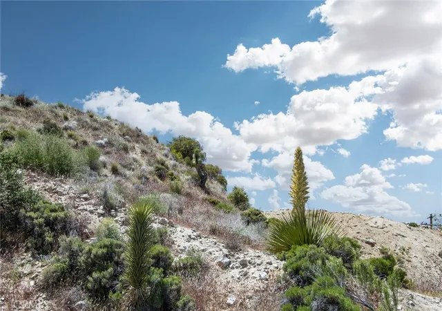 2nd image of 54129 Pinon Dr, Yucca Valley, CA 92284 | MLS# JT24207293