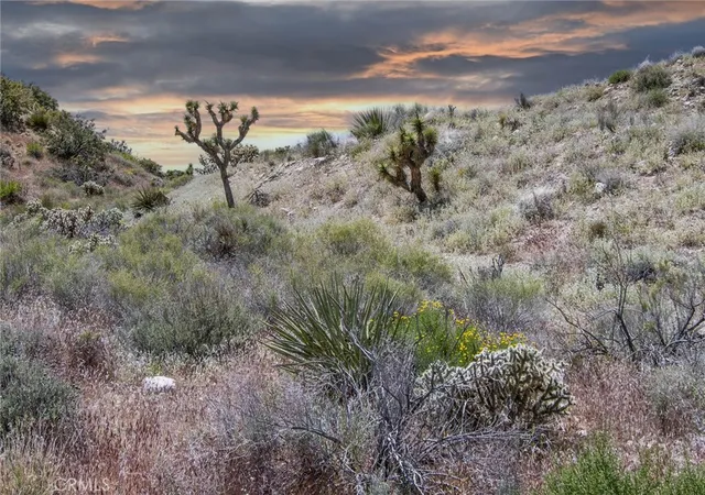 3rd image of 54129 Pinon Dr, Yucca Valley, CA 92284 | MLS# JT24207293