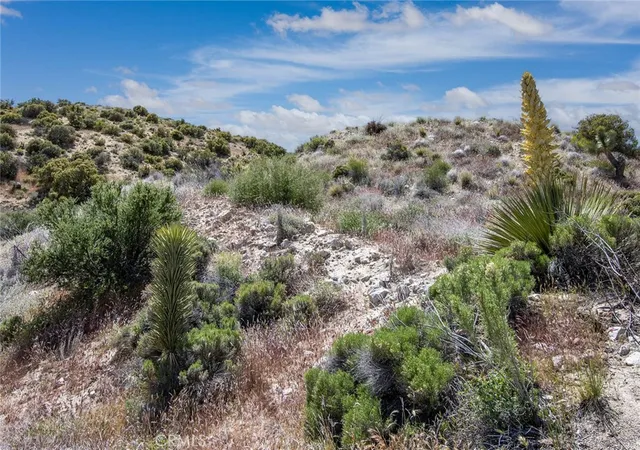 9th image of 54129 Pinon Dr, Yucca Valley, CA 92284 | MLS# JT24207293