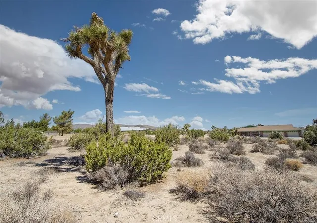 Homes for sale in Yucca Valley, CA | 999 Grand Ave, Yucca Valley, CA 92284 | MLS# JT24207294