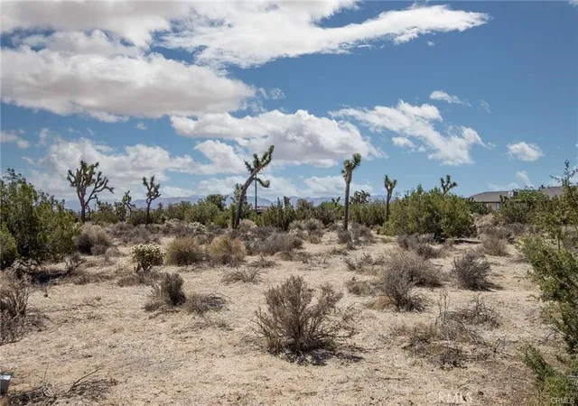 3rd image of 999 Grand Ave, Yucca Valley, CA 92284 | MLS# JT24207294