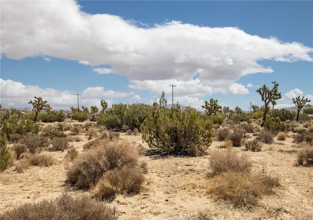 5th image of 999 Grand Ave, Yucca Valley, CA 92284 | MLS# JT24207294