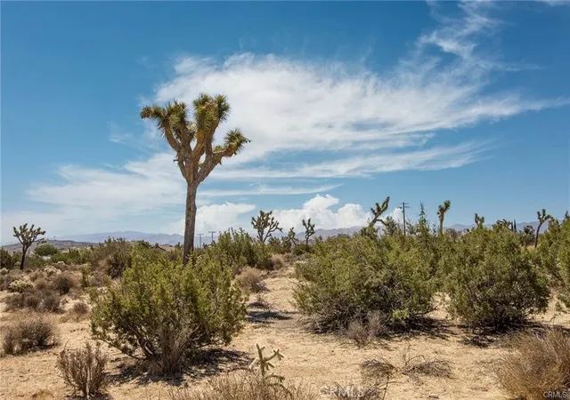 Homes for sale in Yucca Valley, CA | 999 Grand Ave, Yucca Valley, CA 92284 | MLS# JT24207294