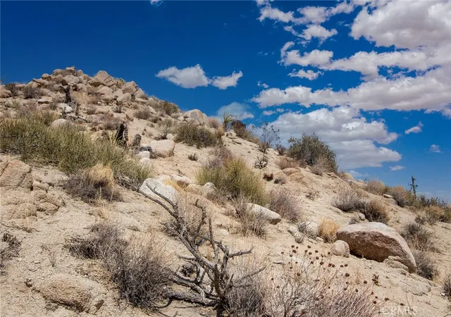 Homes for sale in Yucca Valley, CA | 999 Mandarin Rd, Yucca Valley, CA 92284 | MLS# JT24207302