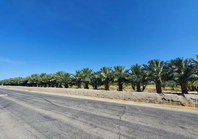 Land for sale at 0 Calhoun Street, Coachella, CA 92236 | MLS# 219117908DA