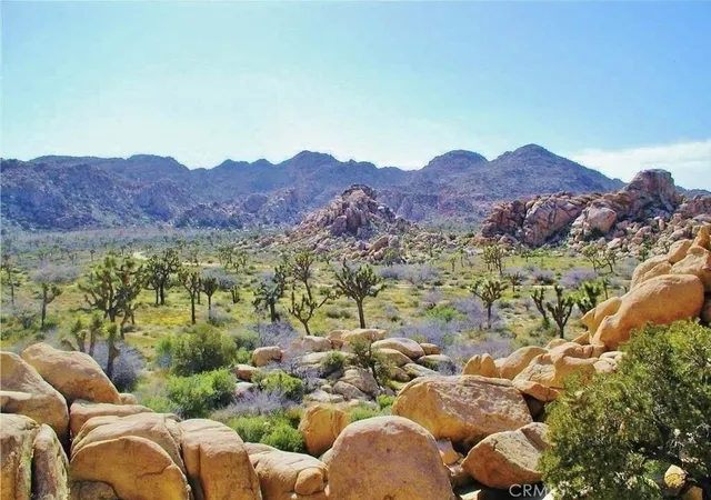 1st image of 61936 El Reposo Cir, Joshua Tree, CA 92252 | MLS# OC24214372