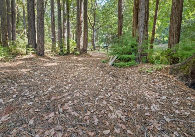 2nd image of 19900 Kings Creek Rd, Boulder Creek, CA 95006 | MLS# ML81984498