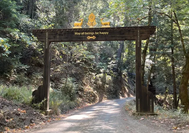 33rd image of 19900 Kings Creek Rd, Boulder Creek, CA 95006 | MLS# ML81984498