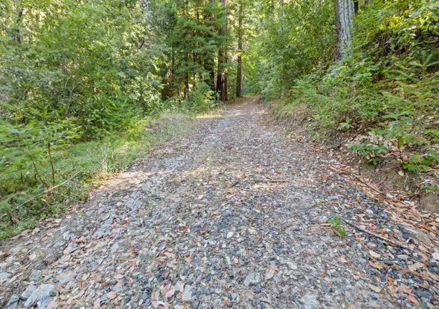 3rd image of 19900 Kings Creek Rd, Boulder Creek, CA 95006 | MLS# ML81984498