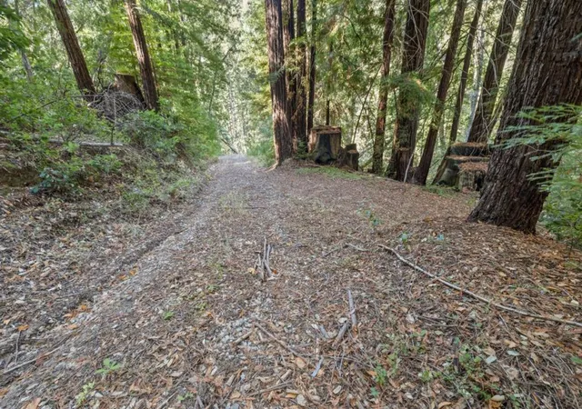 4th image of 19900 Kings Creek Rd, Boulder Creek, CA 95006 | MLS# ML81984498