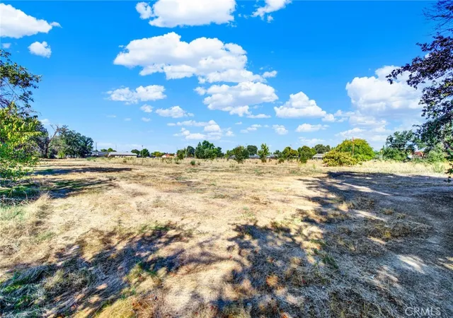 20th image of 0 Toomes, Corning, CA 96021 | MLS# SN24222817