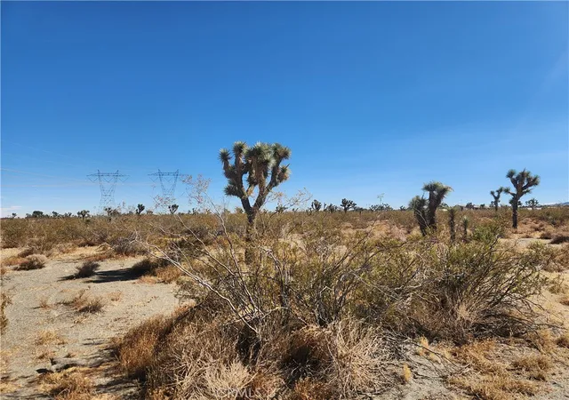Photo 3 of Land for sale at 0 Colorado Rd, Pinon Hills, CA 92372 | MLS# HD24228653 | Listing updated on 2026-09-22