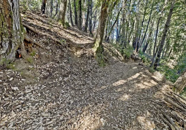 5th image of 0 Western, Brookdale, CA 95007 | MLS# ML81986063