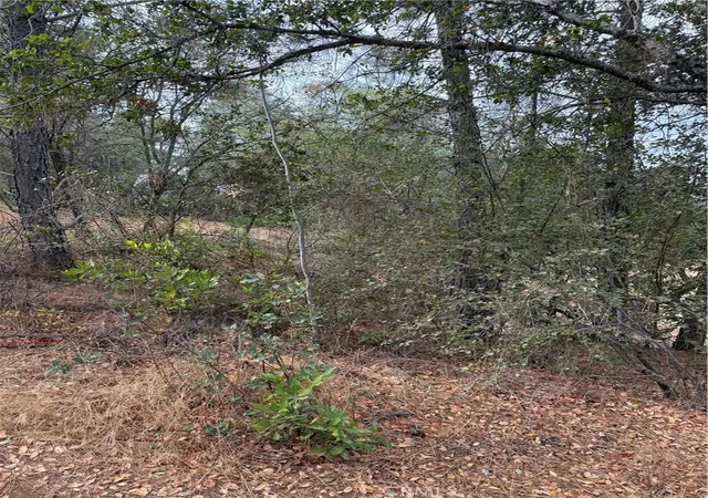 Homes for sale in Clearlake, CA | 3475 Garfield Ave, Clearlake, CA 95422 | MLS# LC24230495