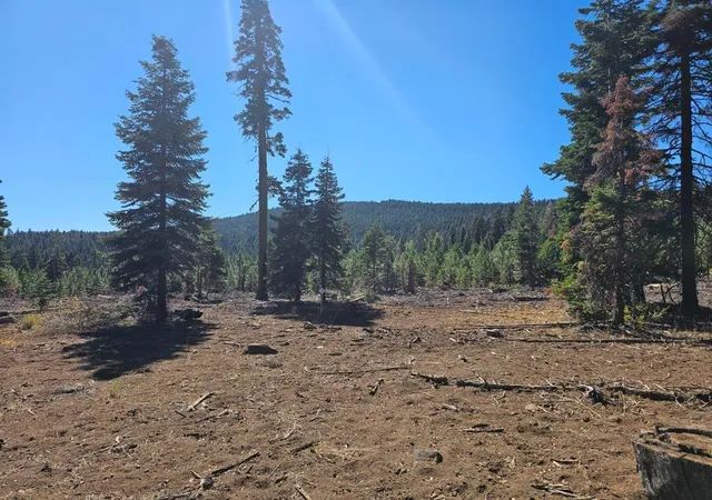 2nd image of 0 Prospect Rd, Alturas, CA 96101 | MLS# ML81987333