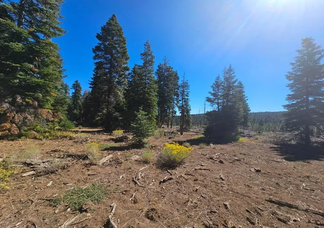 3rd image of 0 Prospect Rd, Alturas, CA 96101 | MLS# ML81987333