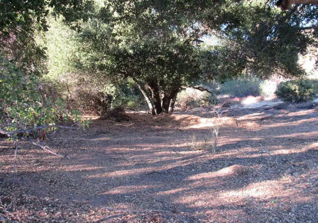 1st image of 2115 N Campo Truck Trail, Campo, CA 91906 | MLS# PTP2407325