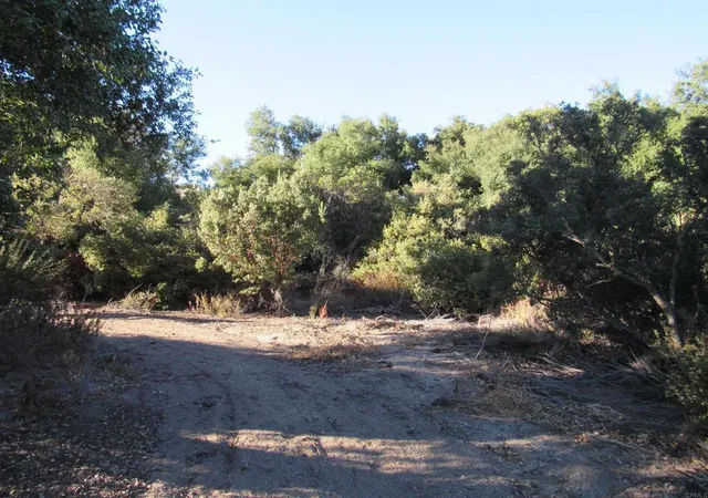 2nd image of 2115 N Campo Truck Trail, Campo, CA 91906 | MLS# PTP2407325