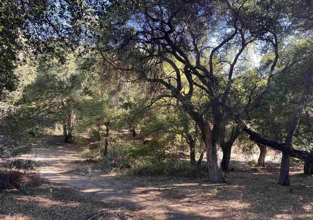 3rd image of 2115 N Campo Truck Trail, Campo, CA 91906 | MLS# PTP2407325
