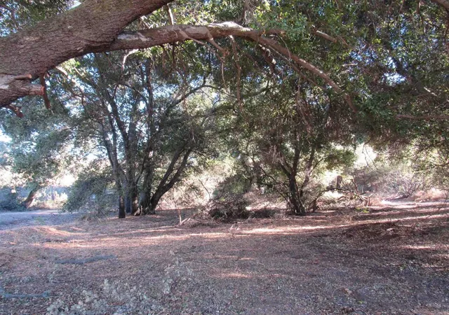 4th image of 2115 N Campo Truck Trail, Campo, CA 91906 | MLS# PTP2407325