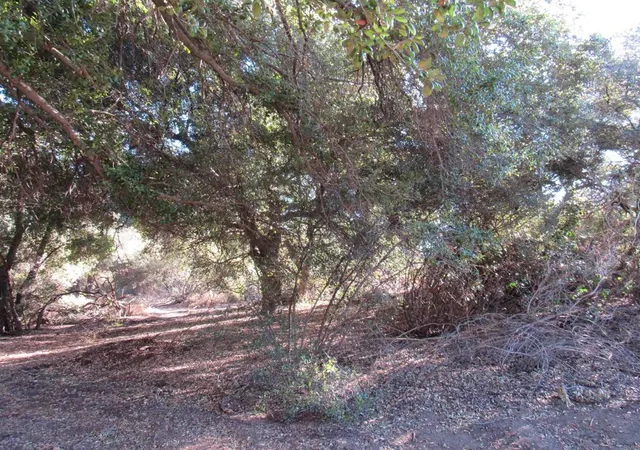 5th image of 2115 N Campo Truck Trail, Campo, CA 91906 | MLS# PTP2407325